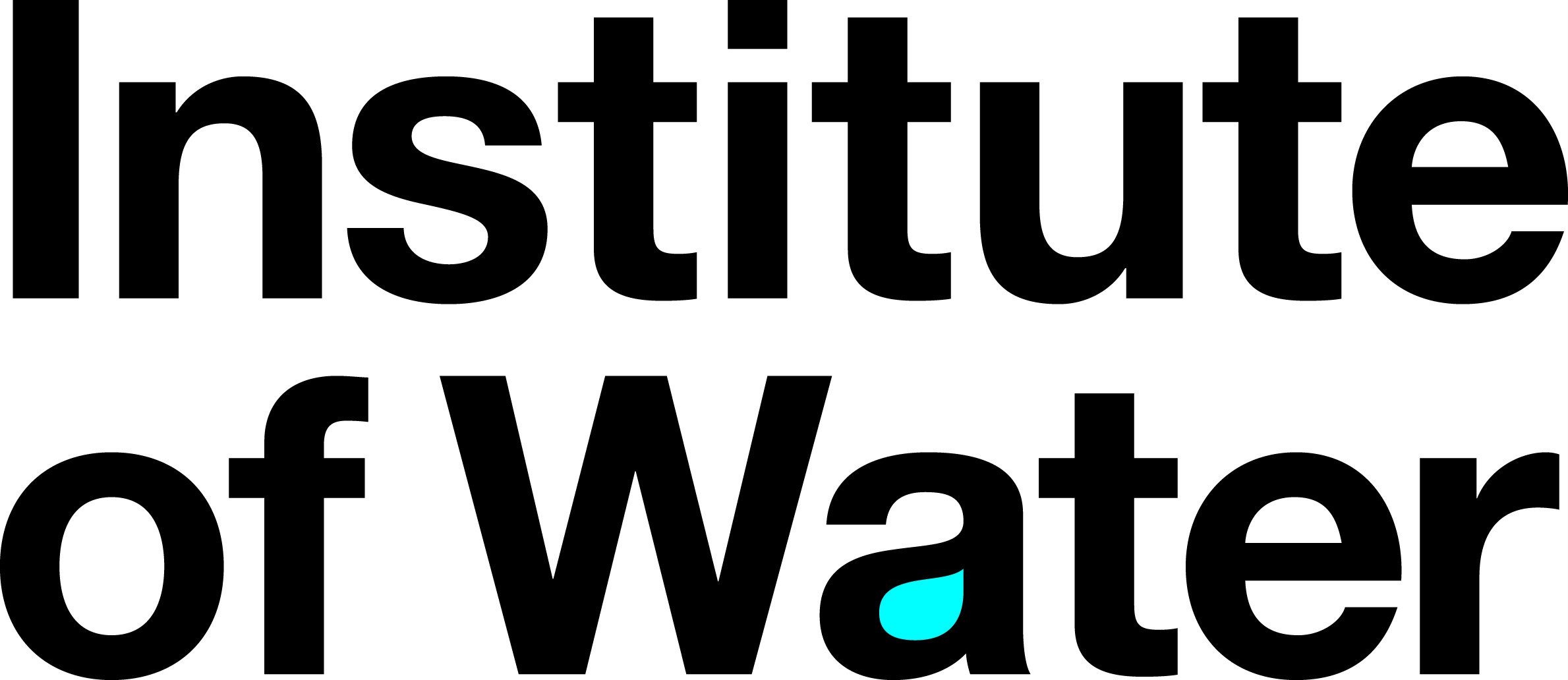 Institute of Water Logo